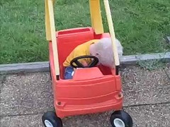asleep behind the wheel