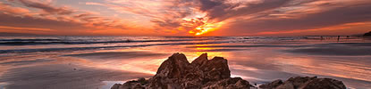 estate_planning_lawyer estate planning lawyer