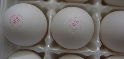 trademark_eggs