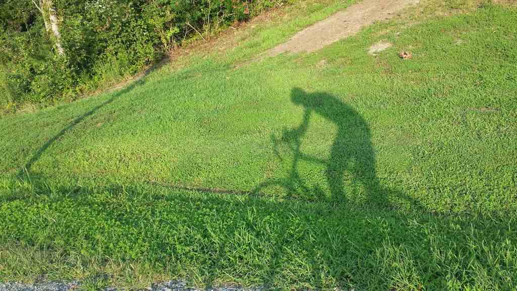 texting while bicyling